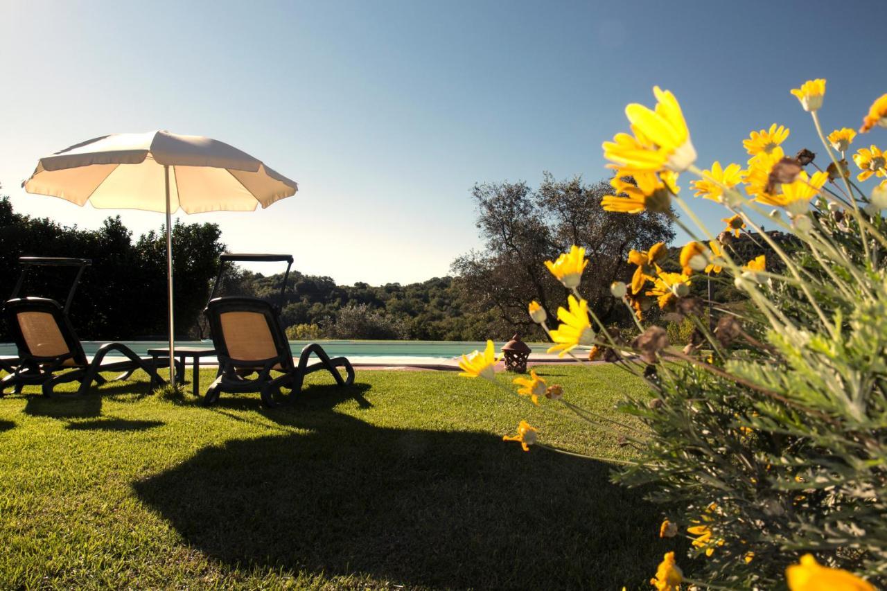 Poggio Sasseta Villa Montiano  Eksteriør billede